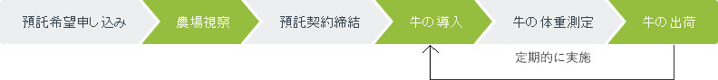 基本的な牛の導入までの流れ
