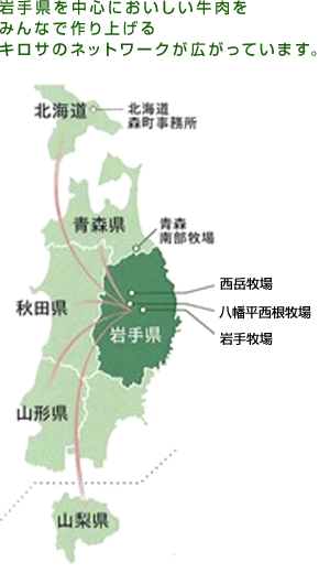 ���𒆐S�Ƃ����L���T�̃l�b�g���[�N