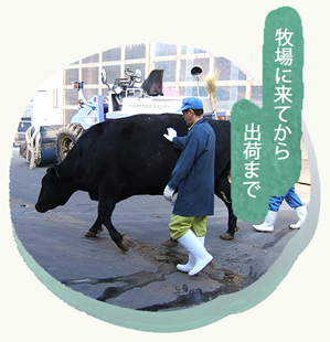 �q��ɗ��Ă���o�ׂ܂�