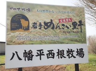 �����������q��i��茧�������s�j