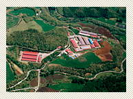 ���q��̎ʐ^