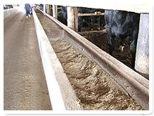 �����|��