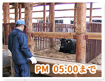 ���̌����