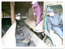 �e�������^