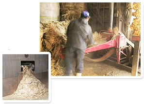 �e�����̍גf���